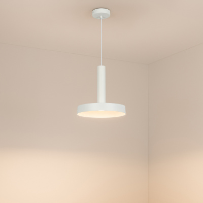 8711ed34b09c6fd64575e7424fdab2fa